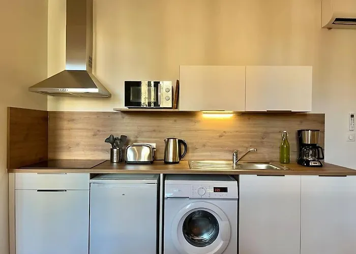 Apartamento Le Printemps * Bel Climatise * Hypercentre