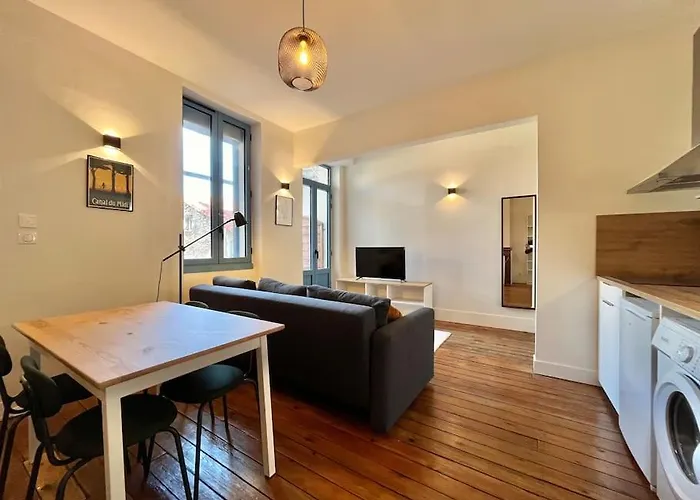 Le Printemps * Bel Climatise * Hypercentre Toulouse