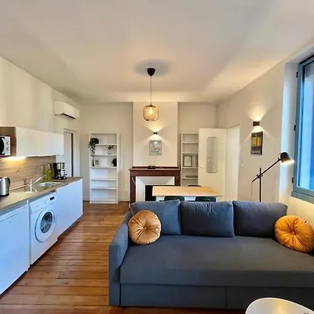 Le Printemps * Bel Climatise * Hypercentre Apartment *