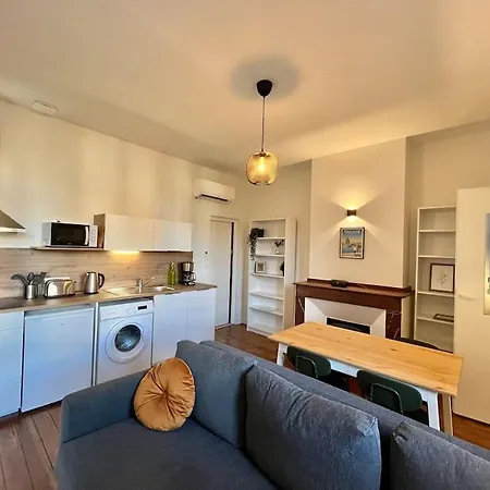 Apartment Le Printemps * Bel Climatise * Hypercentre *