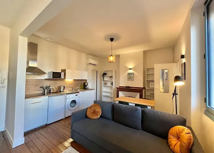 Apartment Le Printemps * Bel Climatise * Hypercentre Toulouse