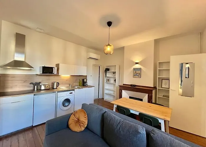 Apartment Le Printemps * Bel Climatise * Hypercentre *