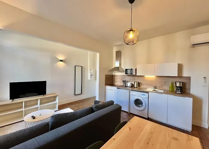 Apartment Le Printemps * Bel Climatise * Hypercentre