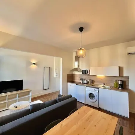 Le Printemps * Bel Climatise * Hypercentre Apartament Tuluza